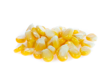 Corn on whiteの写真素材