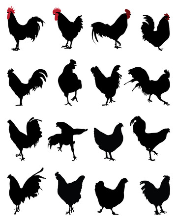 Silhouettes of roosters and hens, vectorのイラスト素材