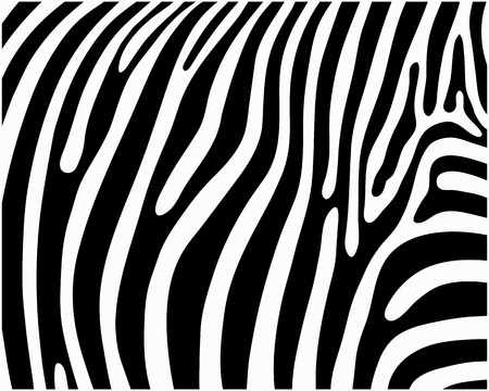 Print pattern, skin of zebra, vector illustrationのイラスト素材