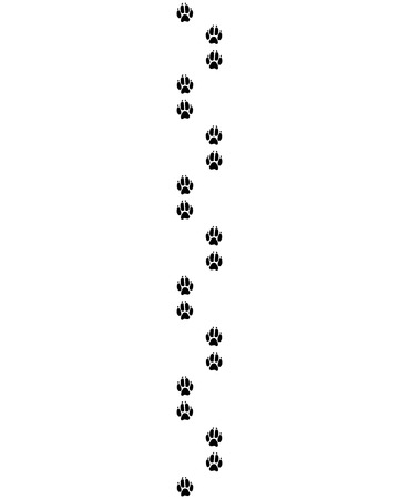 Black footprints of paws of dog, vectorのイラスト素材