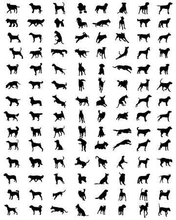 Black silhouettes of different breeds of dogsのイラスト素材