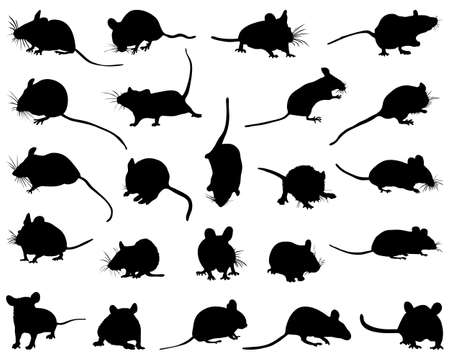 Black silhouettes of mouses on a white backgroundのイラスト素材