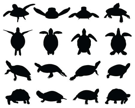 Black silhouettes of turtles on a white backgroundのイラスト素材