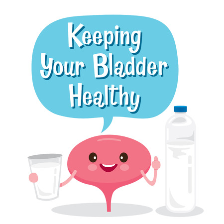 Bladder, Human Internal Organ, Cartoon Character, Physiology, Structure, Medical Profession, Morphology, Healthyのイラスト素材
