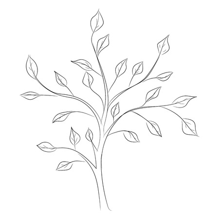 sketch of a treeのイラスト素材