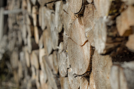 Firewood