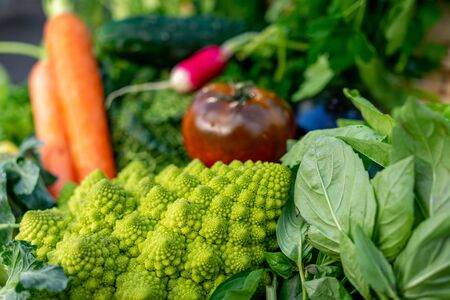 close-up of fresh romanesco cabbage and other garden vegetables on the backgroundの写真素材