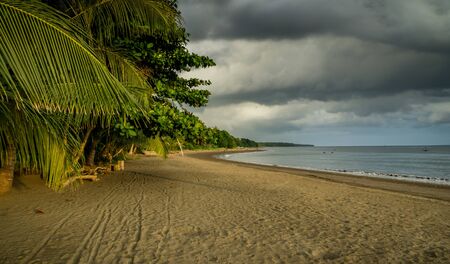 tropical beach with palm trees and clouds