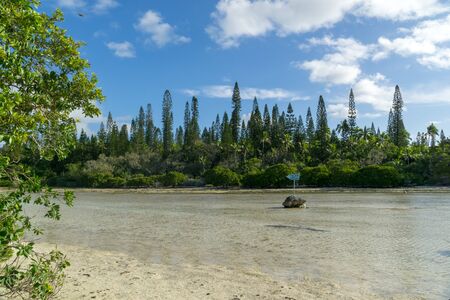 sign in tropical forest indicating natural pool of oro bay, Isle of Pines, New Caledoniaの写真素材