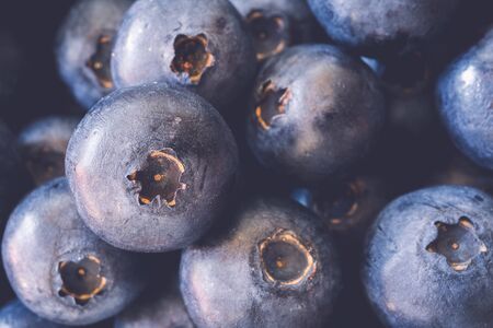 macrophotography of fresh blueberries. top view. full frame backgroundの写真素材