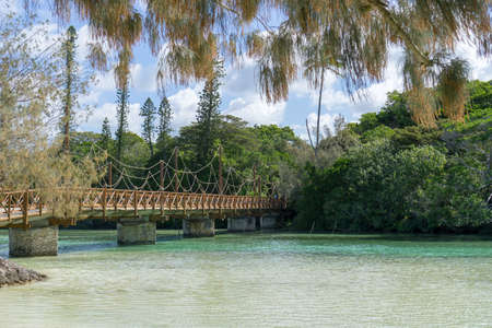 wooden bridge across turquoise water in a tropical landscape, pines island new caledonia. sunny day