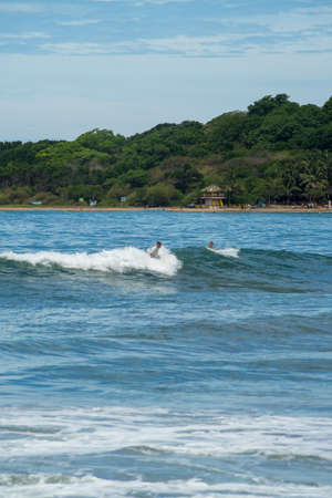 Surfer on the sea, palm trees on the background, blue sky. Arugam Bay, Sri Lanka. Portrait format