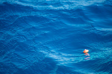 Red fishing float on the rippled blue water. copy space for text