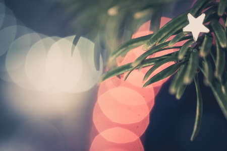 close-up of christmas tree branches with shiny christmas stars decoration. beautiful red ans white...