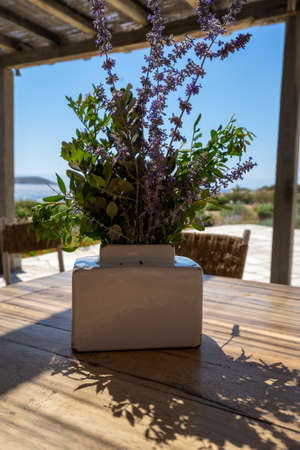 Lavender flowers in white flowerpot on wooden table. summer conceptの写真素材