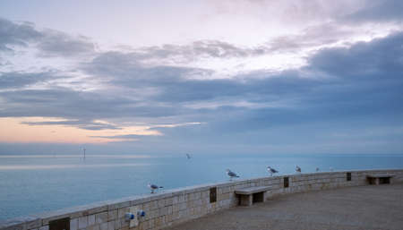 storm over the pier with seagulls