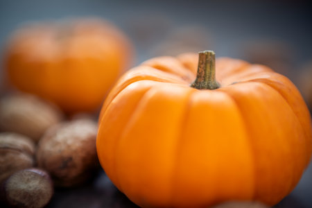 Autumn pumpkin and fall decor on a rustic wood background with copy spaceの写真素材