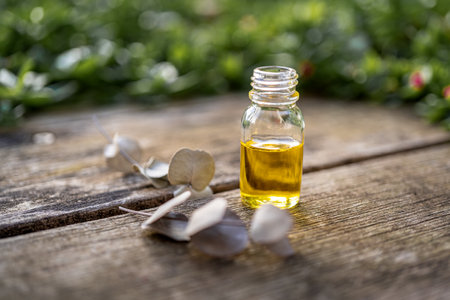 Essential oil in a small glass bottle with eucalyptus sprigs on a wood table and blurred green background. Selective focus and copy space for text. Natural cosmetic products.の写真素材