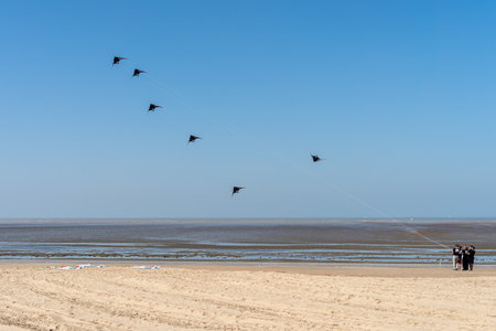 Various kites flying on the blue sky in the kite festival.の写真素材