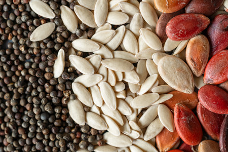 top view of several types of seeds: pumpkin seeds, poppy seeds, bean seeds... all forming a multi-colored wholeの写真素材
