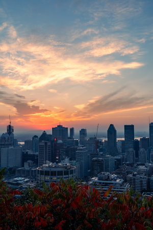 Montreal sunrise from Mont Royal Kondiaronk Belvedere with colorful leaves. Panoramic skyline view of downtown Montreal from top view at sunrise in Canadaの写真素材