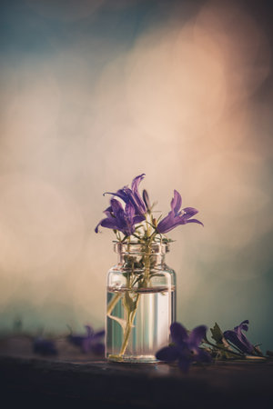 Close-up of violet bluebells with beautiful colored background. copy space for textの写真素材