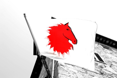 flag with red horse headの写真素材