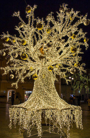 Christmas tree in Matera. Italyのeditorial素材