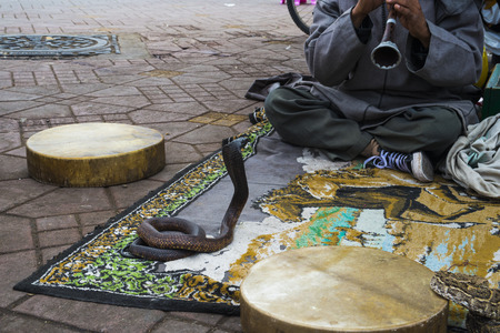 Cobra dancing at famous Marrakesh squareの写真素材