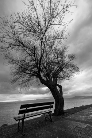 Bench and tree silhouette on the lakeの写真素材
