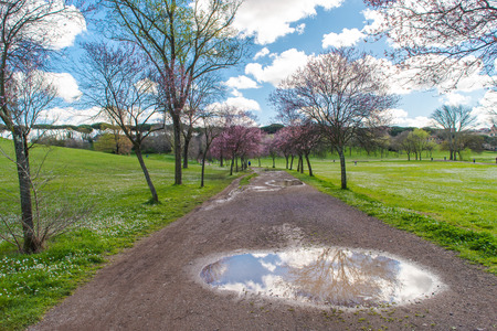 Rome, Italy - March 06, 2016: Park of Villa Doria Pamphiliの写真素材