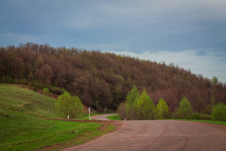 Winding road in spring forestの写真素材