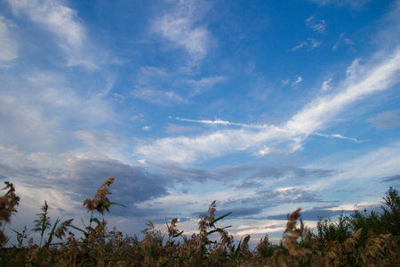 Unusual beautiful clouds in the skyの写真素材