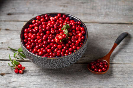 Red berries of lingonberry in a cup and spoon on a table from wooden old boardsの写真素材
