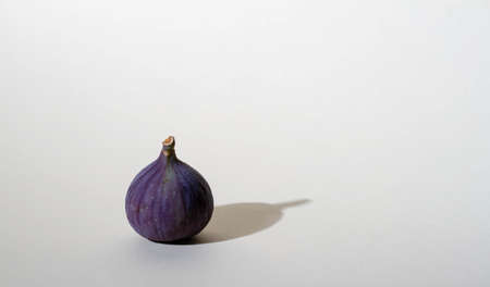 Figs of purple color on a light background with a shadow, bright lightの写真素材