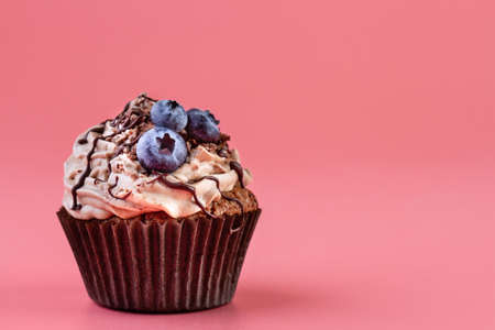 Chocolate cupcake with cream and blueberries on a pink background, copy spaceの写真素材