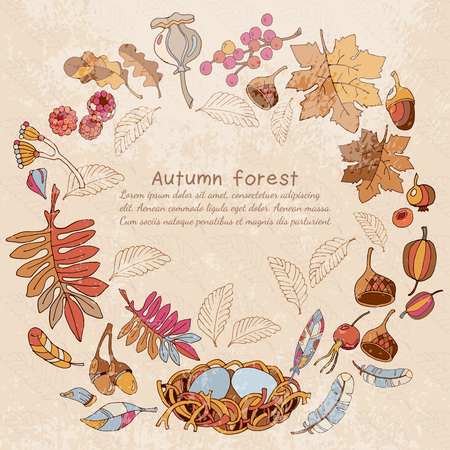 Romantic autumn card. Hello Autumn. Acorns, berries, fall leaves autumn forest background fall forest design elements.のイラスト素材
