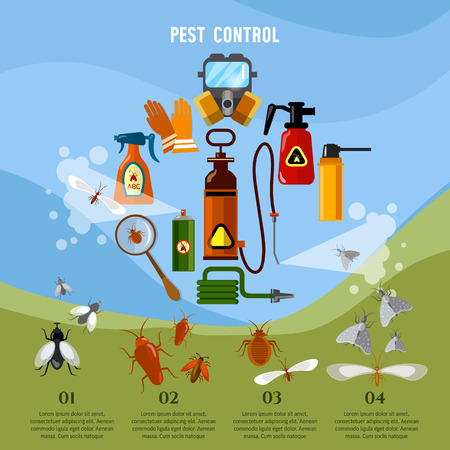Pest control service infographic detecting exterminating insects vector conceptのイラスト素材