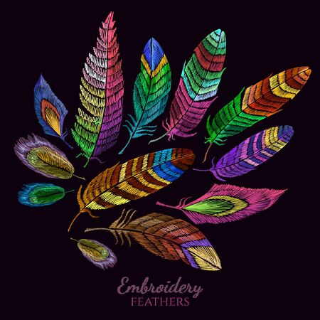 Color feathers embroidery collection fashionable template for design of clothes, t-shirt design. Beautiful feathers of tropical birds classic vector embroideryのイラスト素材