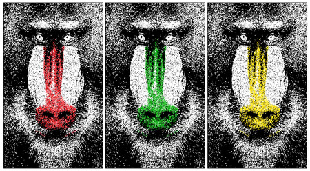 Silhouette of a baboon from particles. Background and text on a separate layer, color can be changed in one click.のイラスト素材