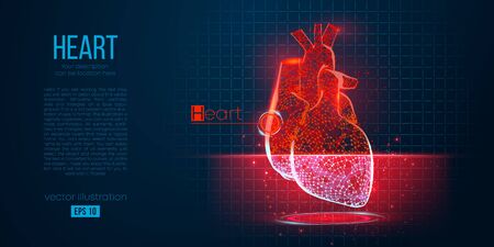Abstract silhouette of the polygonal organ of heart on blue background. Scanning, research and diagnosis of the human heart. Holographic low poly, wireframe vector. Thanks for watchingのイラスト素材