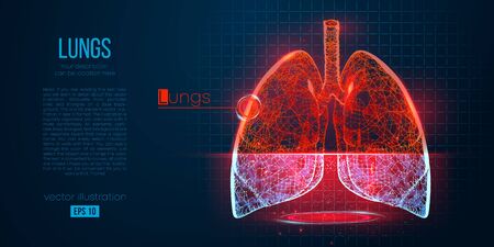 Abstract silhouette of the polygonal organ of lungs on blue background. Scanning, research and diagnosis of the human lungs. Holographic low poly, wireframe vector. Thanks for watchingのイラスト素材