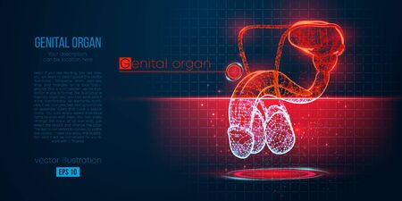 Abstract silhouette of the polygonal genital organ of man on blue background. Scanning, research and diagnosis of the genital organ of man. Holographic low poly, wireframe vector. Thanks for watchingのイラスト素材