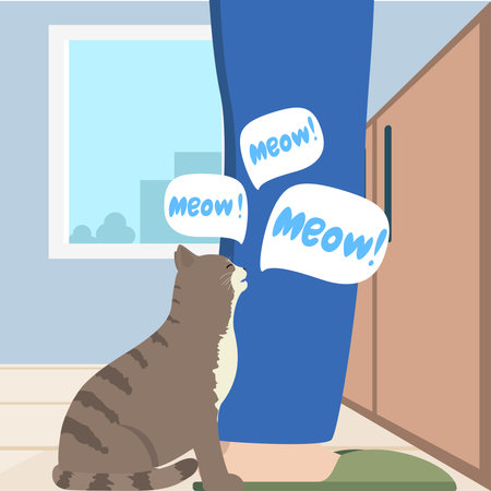 cat with the owner in the kitchen, meows, asks for foodのイラスト素材