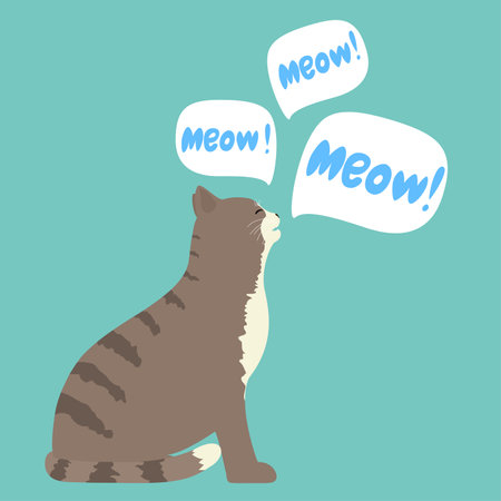 meowing cat with speech bubble saying meowのイラスト素材
