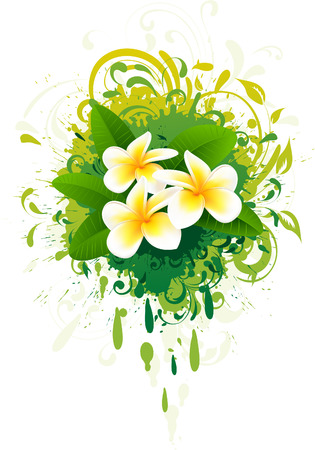  Banner with frangipaniのイラスト素材