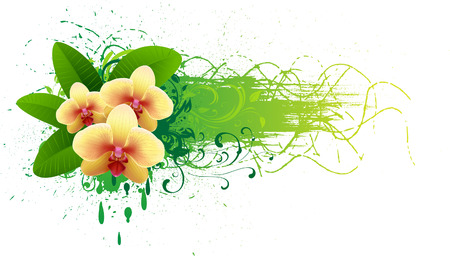 Beautiful Orchid. のイラスト素材