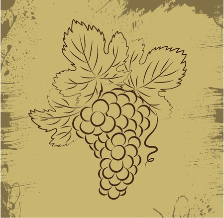 Grapes のイラスト素材