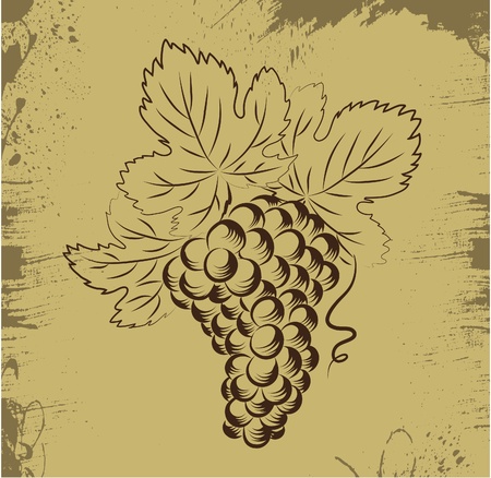 Grapes のイラスト素材