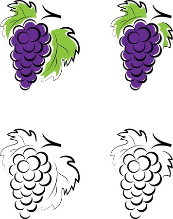 Grapesのイラスト素材